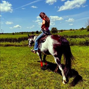 Meet your Posher, Florence